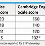 Cách Tính Điểm Pet Cambridge