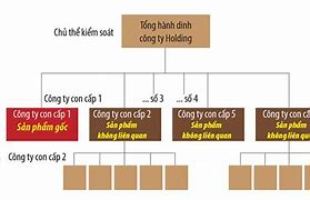 Gm Holding Là Công Ty Gì